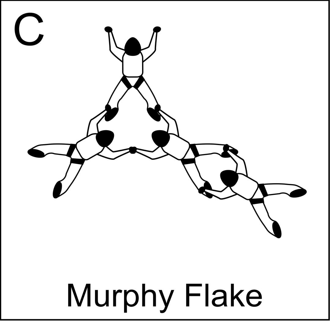 Figure C - Murphy Flake  , Vol relatif à 4, Formation Skydiving 4-Way  png transparent