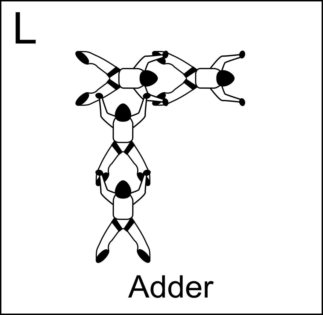 Figure L - Adder, Vol relatif à 4, Formation Skydiving 4-Way png transparent