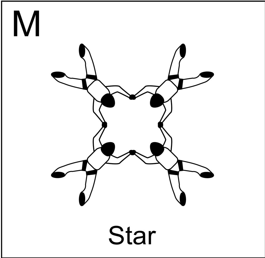 Figure M - Star, Vol relatif à 4, Formation Skydiving 4-Way png transparent