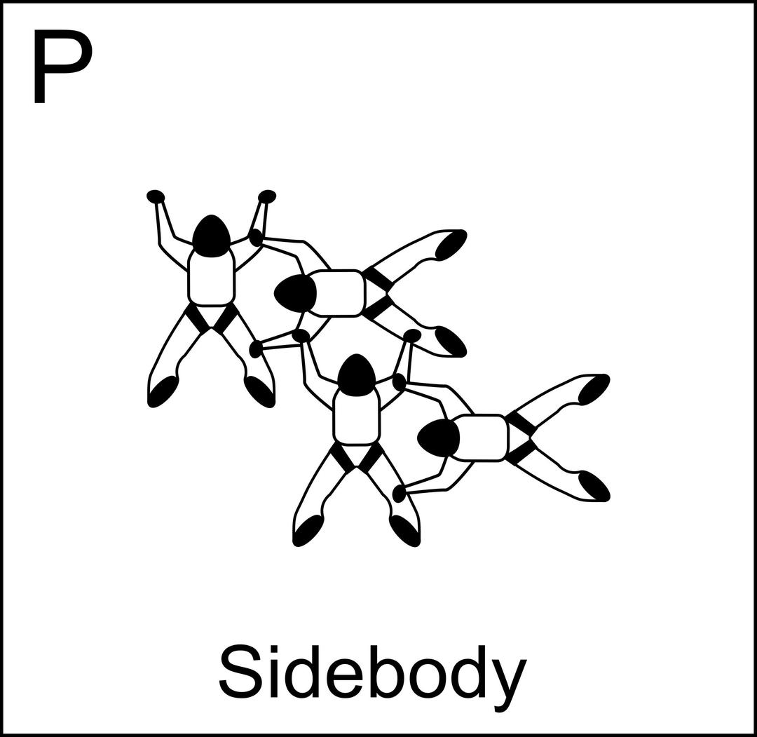 Figure P - Sidebody, Vol relatif à 4, Formation Skydiving 4-Way png transparent