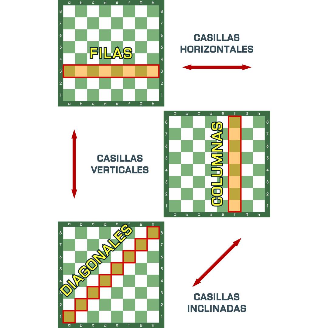 Filas - Columnas y Diagonales - Tablero de Ajedrez png transparent