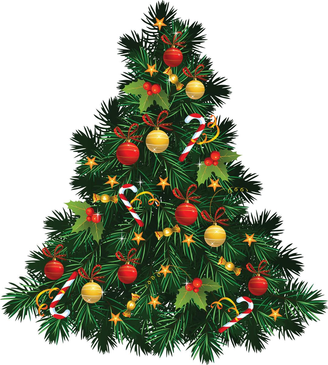 Fir Tree Christmas png transparent