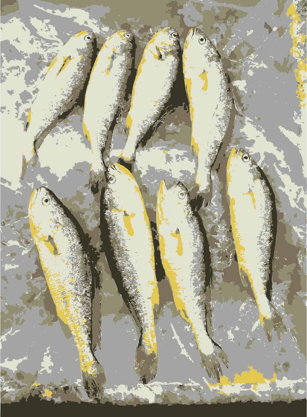 Fish from the market 1 png transparent