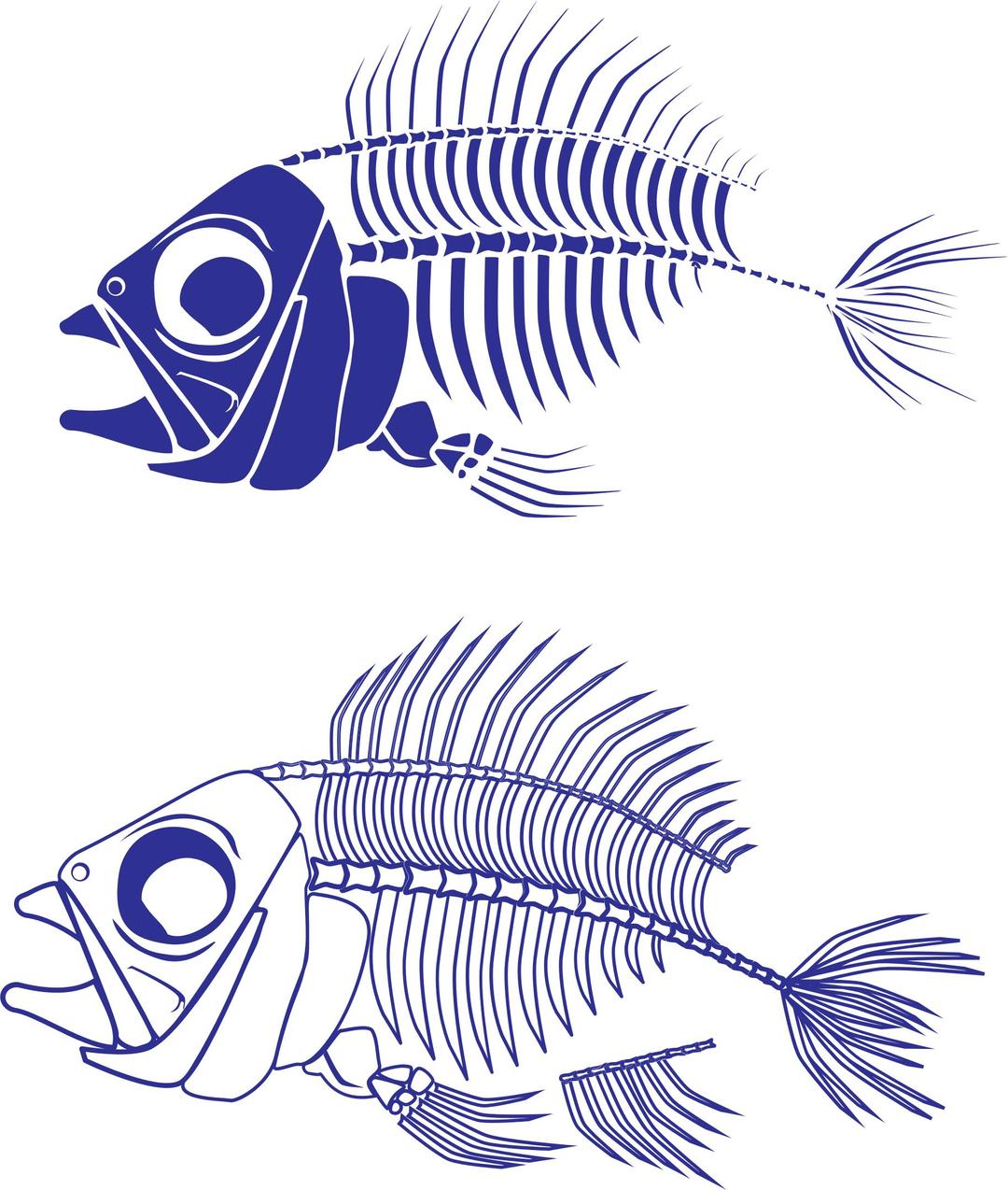 Fish Skeleton png transparent