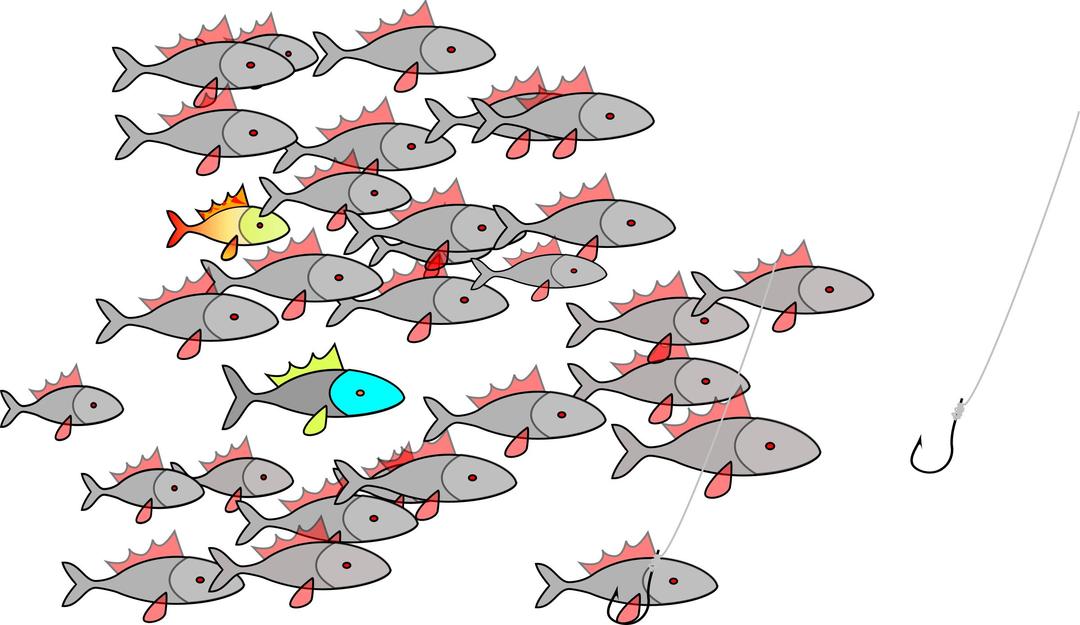 fishes  png transparent