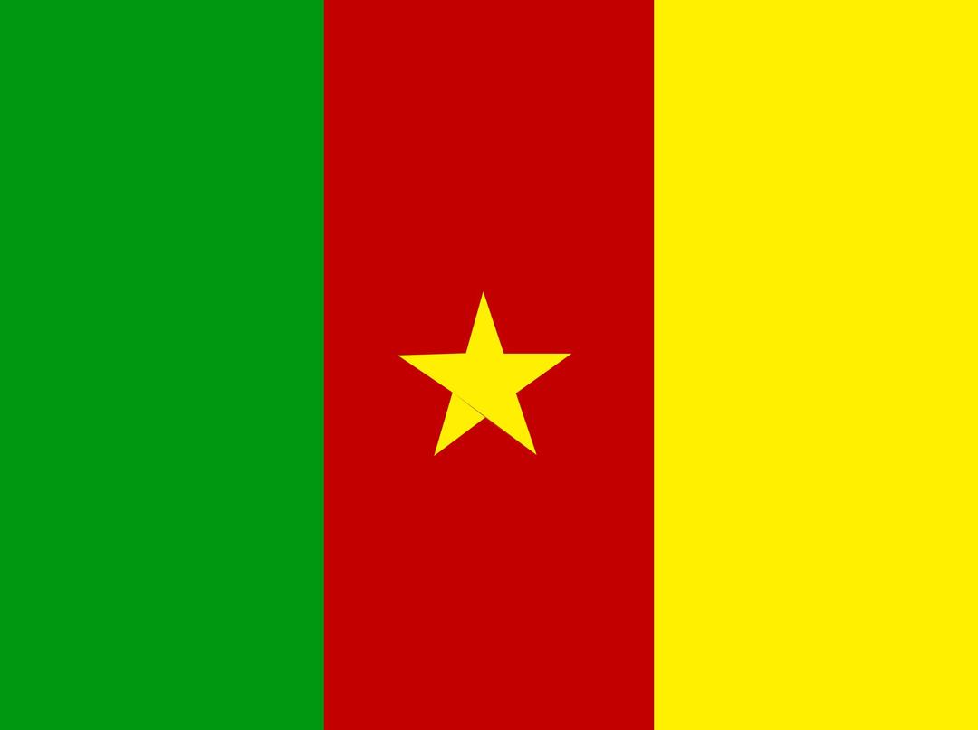 Flag of Cameroon png transparent