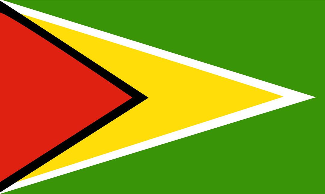 Flag of Guyana png transparent