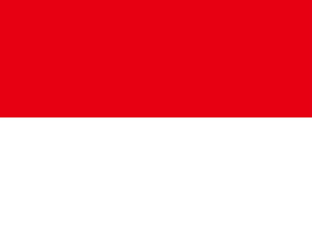 Flag of Indonesia png transparent
