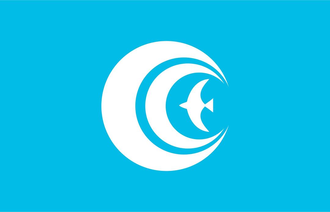 Flag of Kasumigaura, Ibaraki png transparent