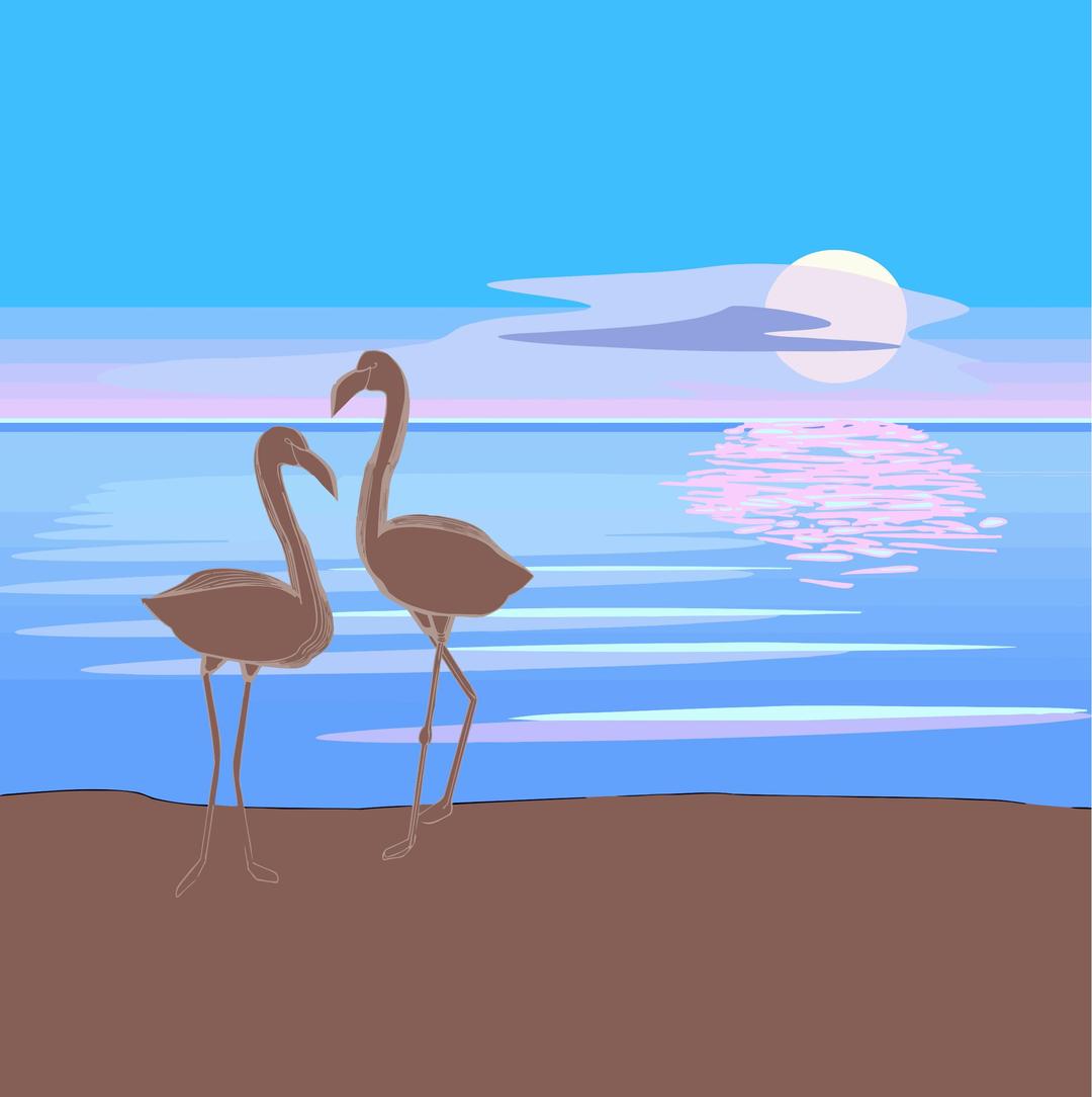Flamingos 3 png transparent