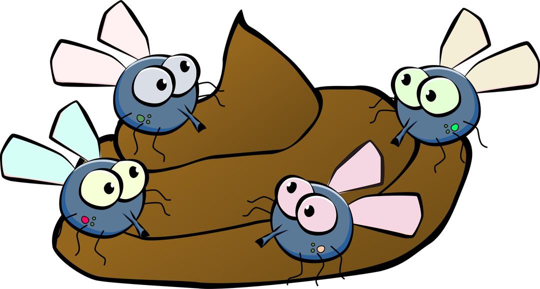 Flies on a turd png transparent