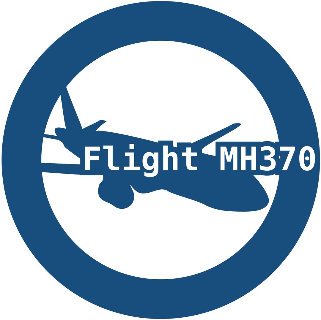 Flight MH370 png transparent