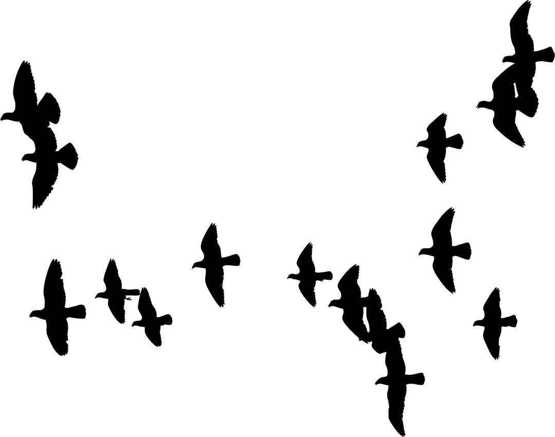 Flock Of Doves Silhouette png transparent