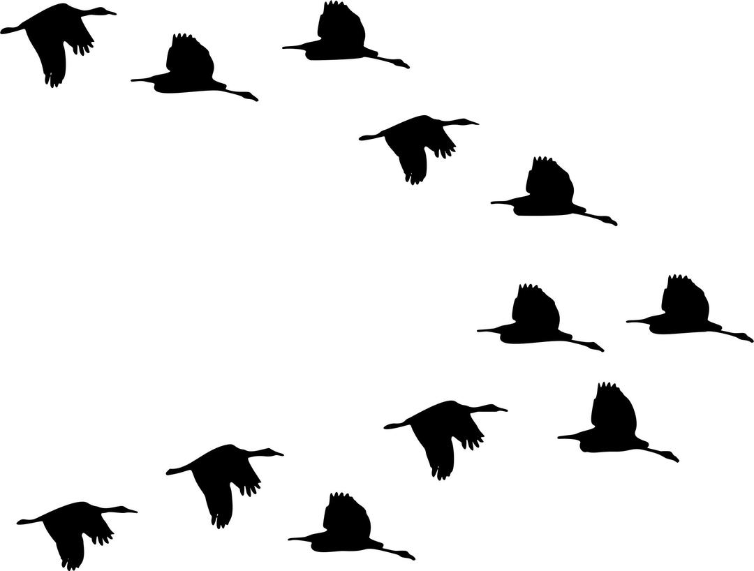 Flock Of Ducks Flying Silhouette png transparent