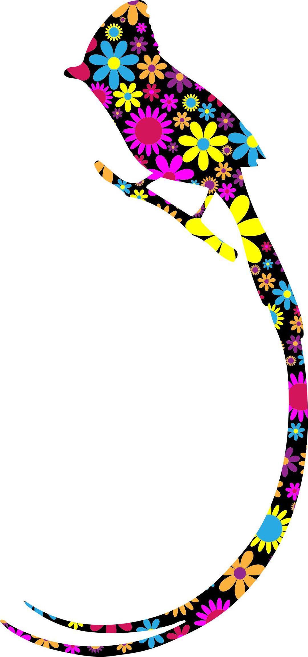 Floral Long Tailed Bird Silhouette png transparent