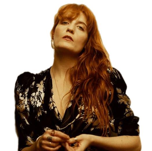 Florence and the Machine Hair on One Side png transparent