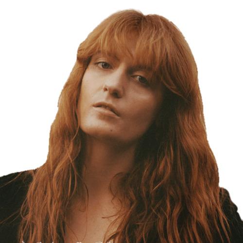 Florence and the Machine Portrait png transparent