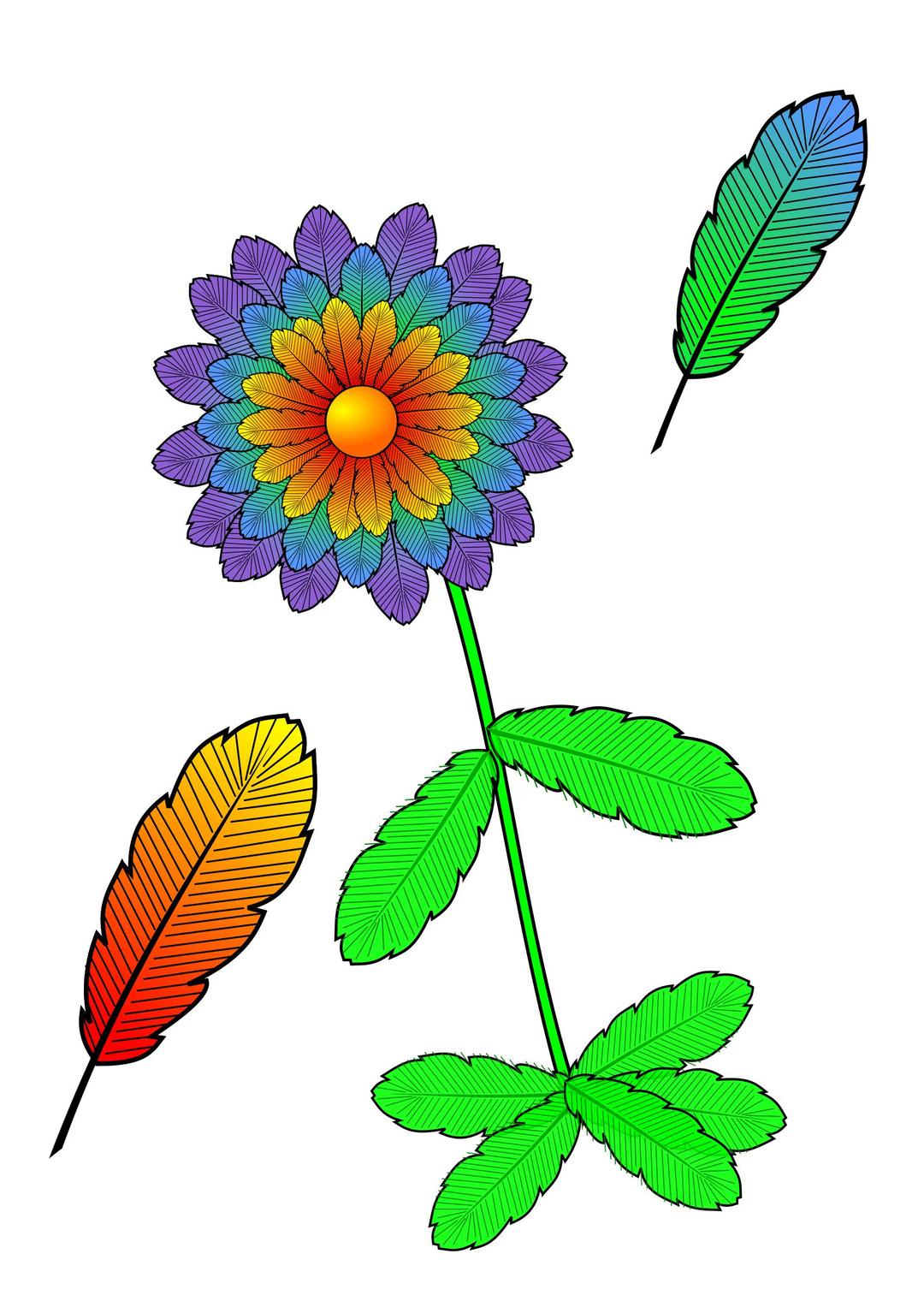 flower and feather png transparent