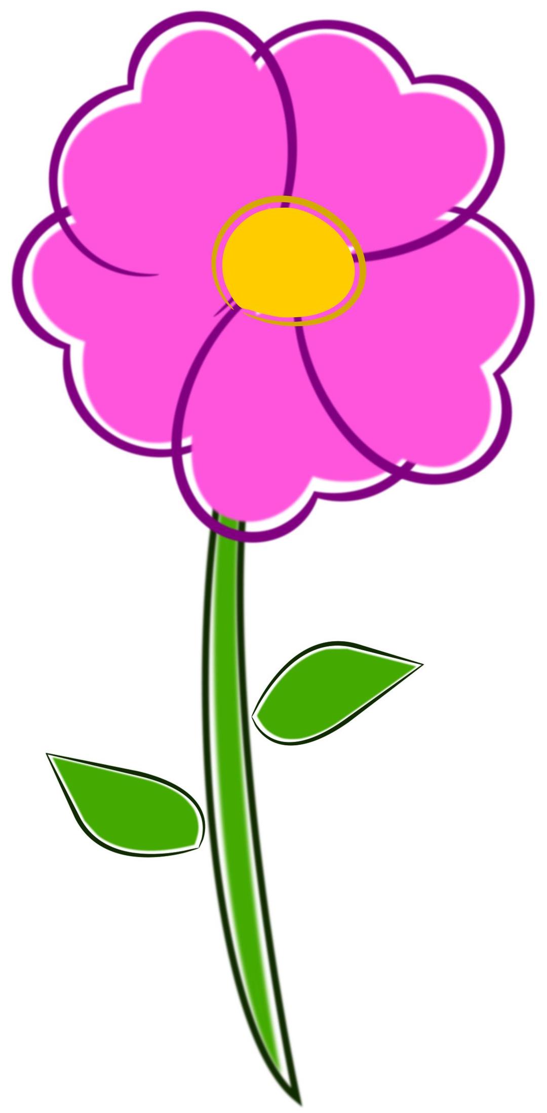 Flower. Flor. png transparent
