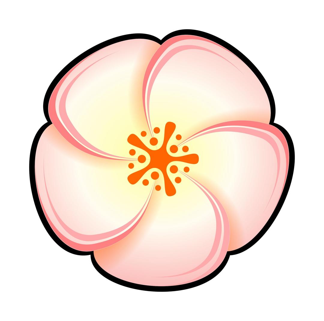 Flower iteration #5 png transparent