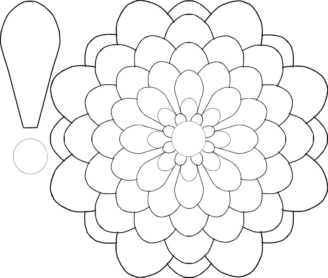 Flower Multi-Choice Template png transparent