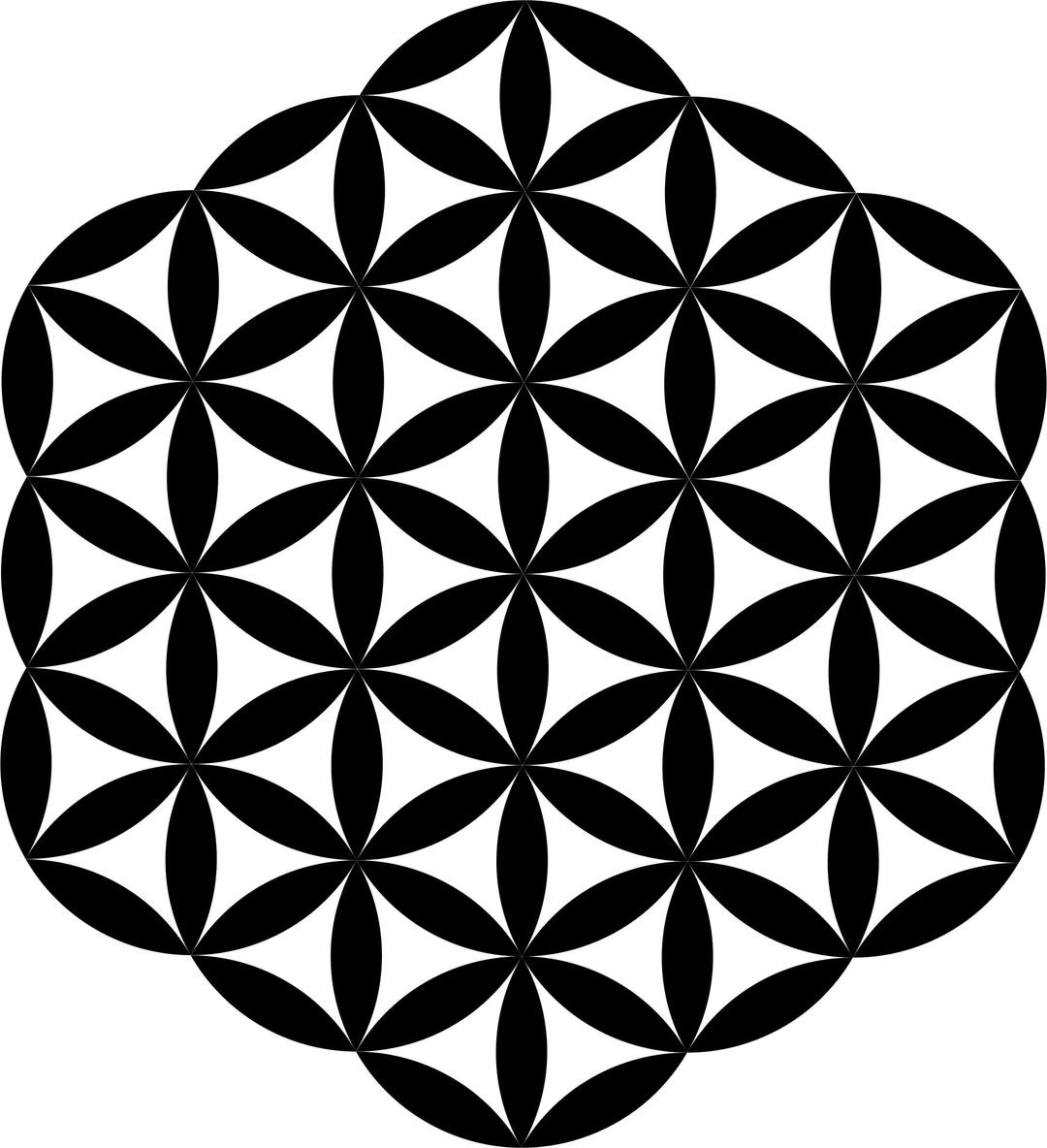 Flower Of Life Silhouette png transparent