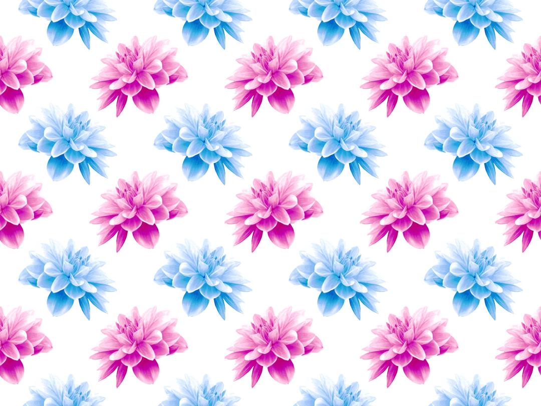 Flower pattern 5 (fuller colours) png transparent
