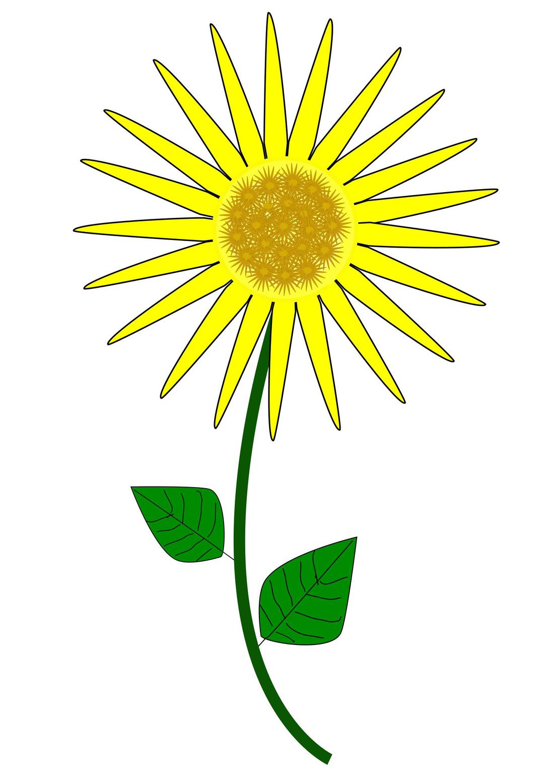 Flower, Sunflower png transparent
