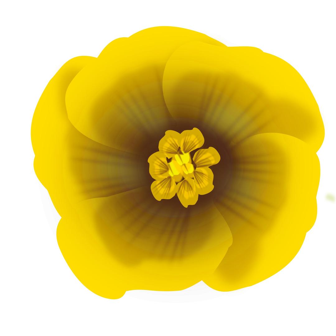 flower yellow png transparent