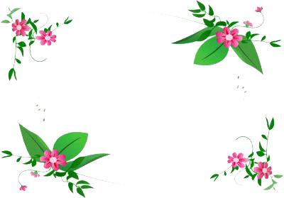 Flowers Frame Small png transparent
