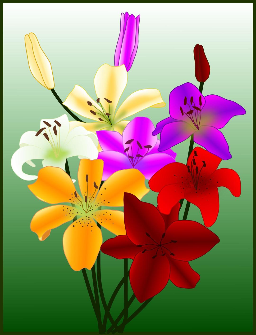 Flowers gigli lilies png transparent