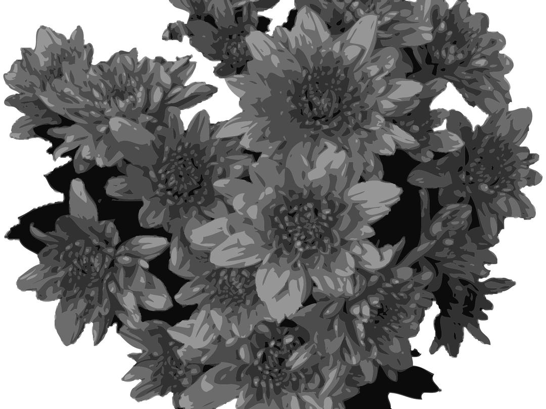 Flowers  in Greyscale png transparent