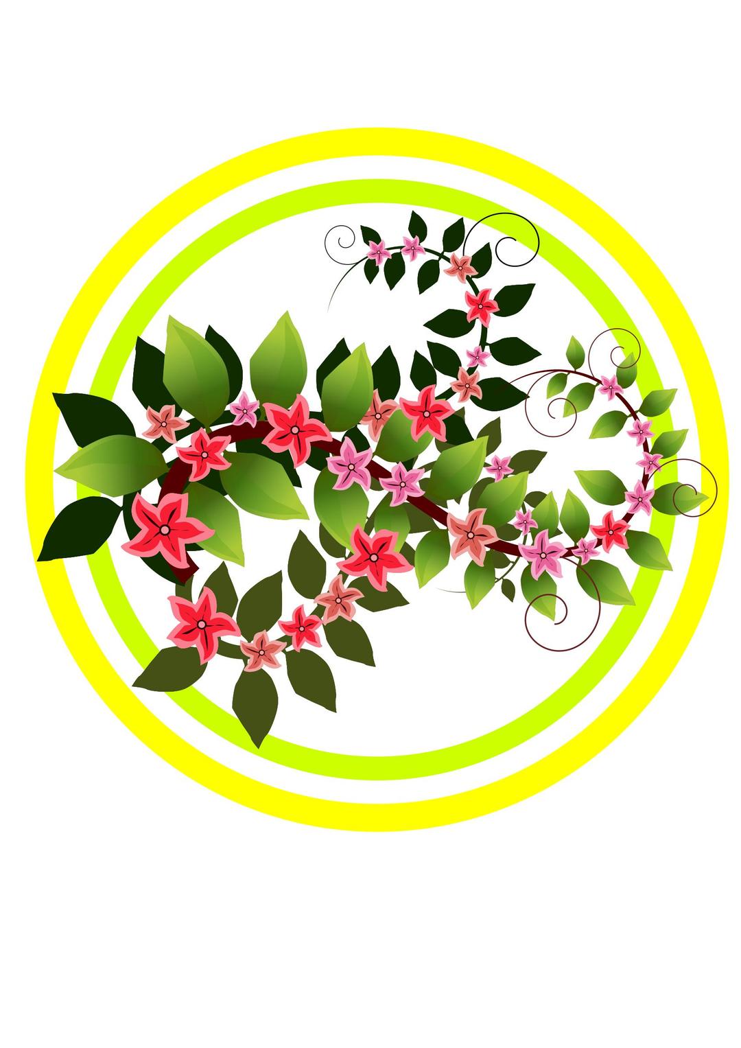 Flowery branch png transparent