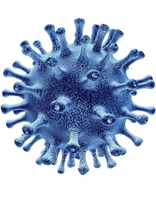Flu Virus Cell png transparent