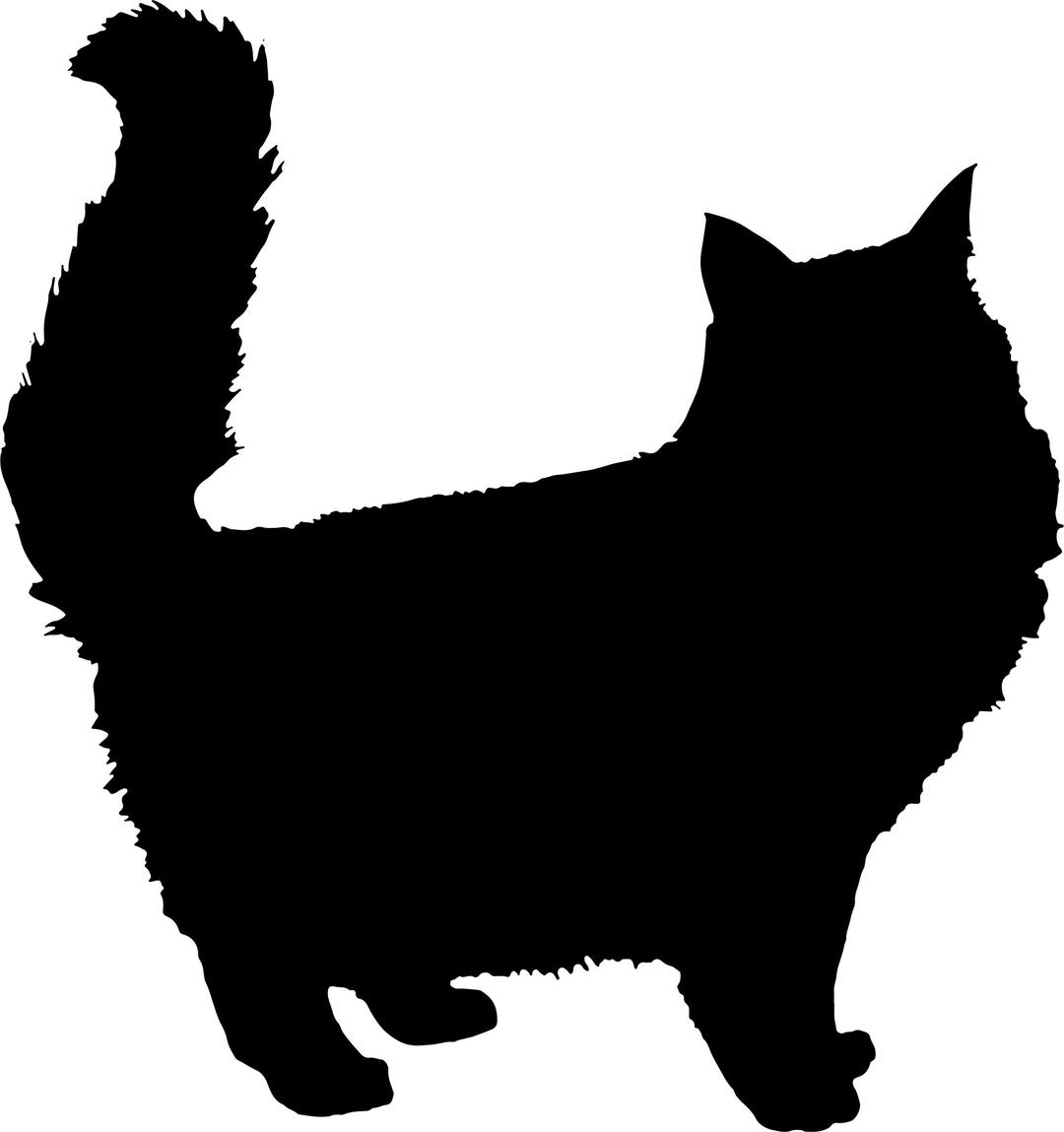 Fluffy Cat Silhouette png transparent