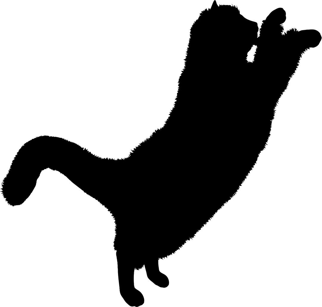 Fluffy Cat Silhouette 2 png transparent