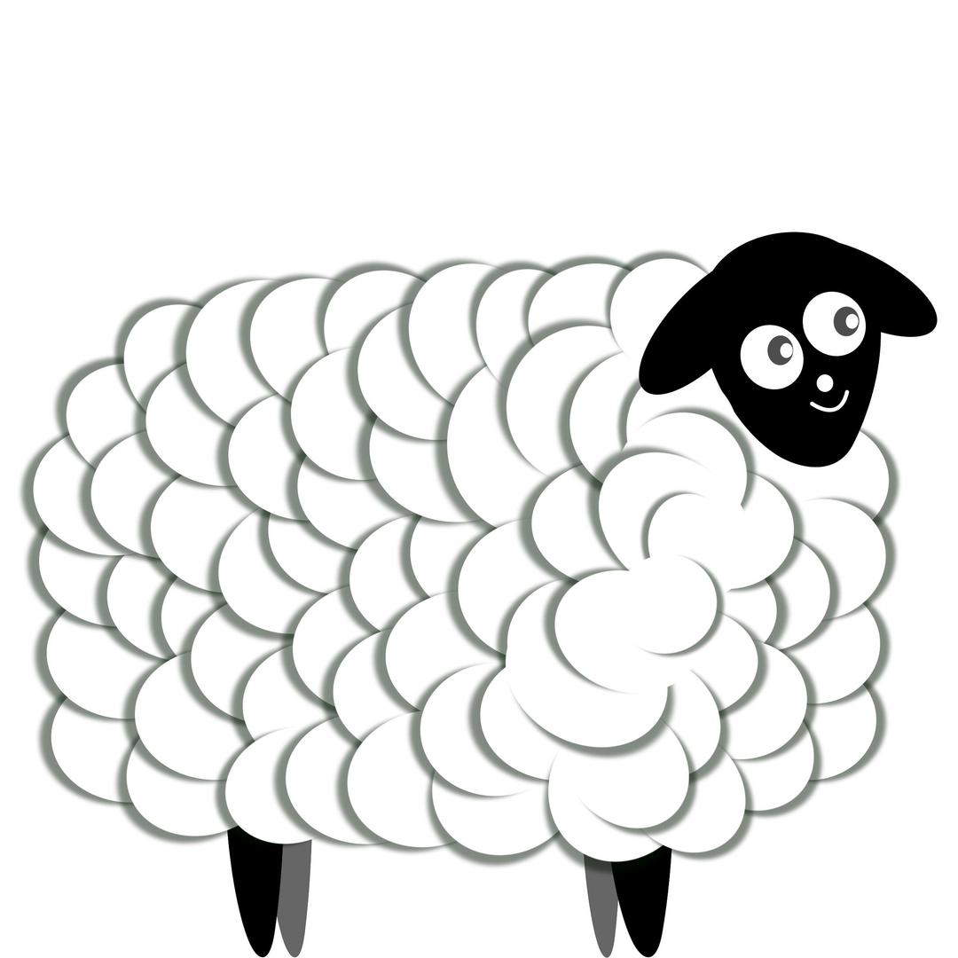 Fluffy Sheep, two color png transparent