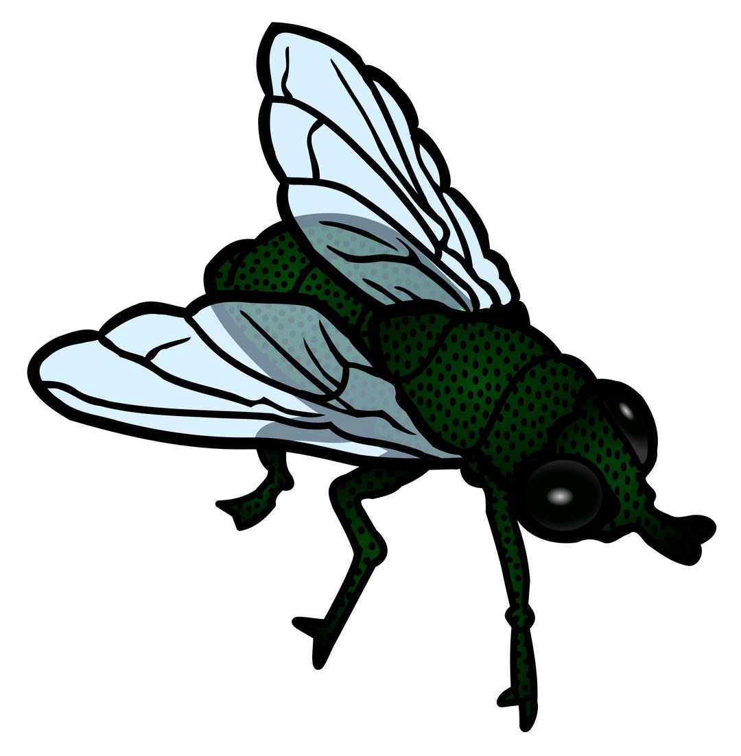 fly - coloured png transparent