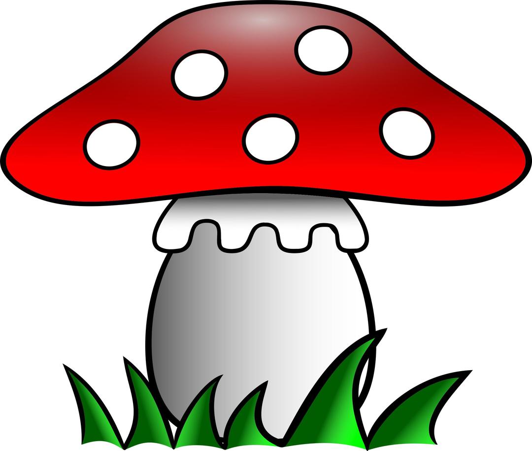 Fly-agaric png transparent