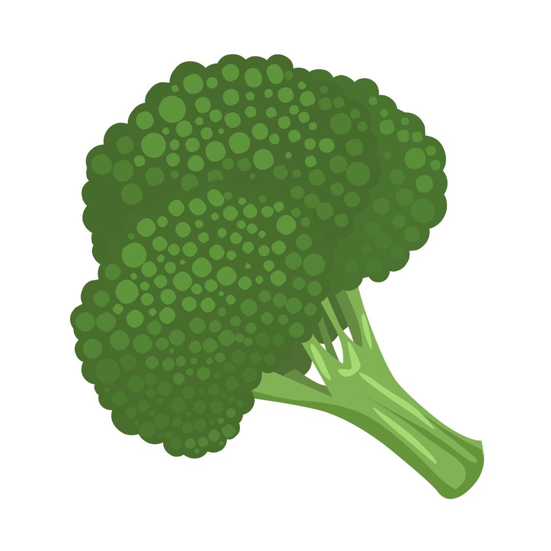 Food Broccoli png transparent