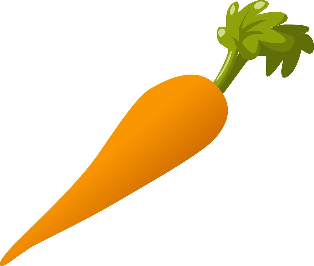Food Carrot png transparent