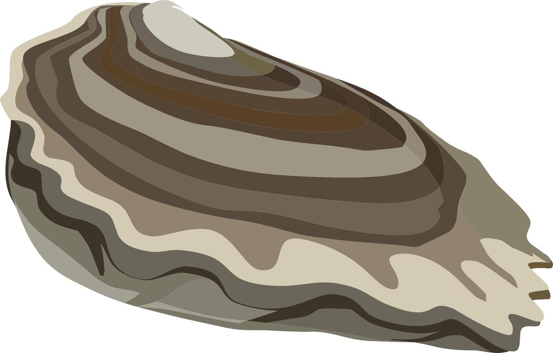 Food Oysters Ocean png transparent