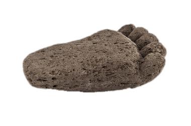 Foot Shaped Pumice Stone png transparent