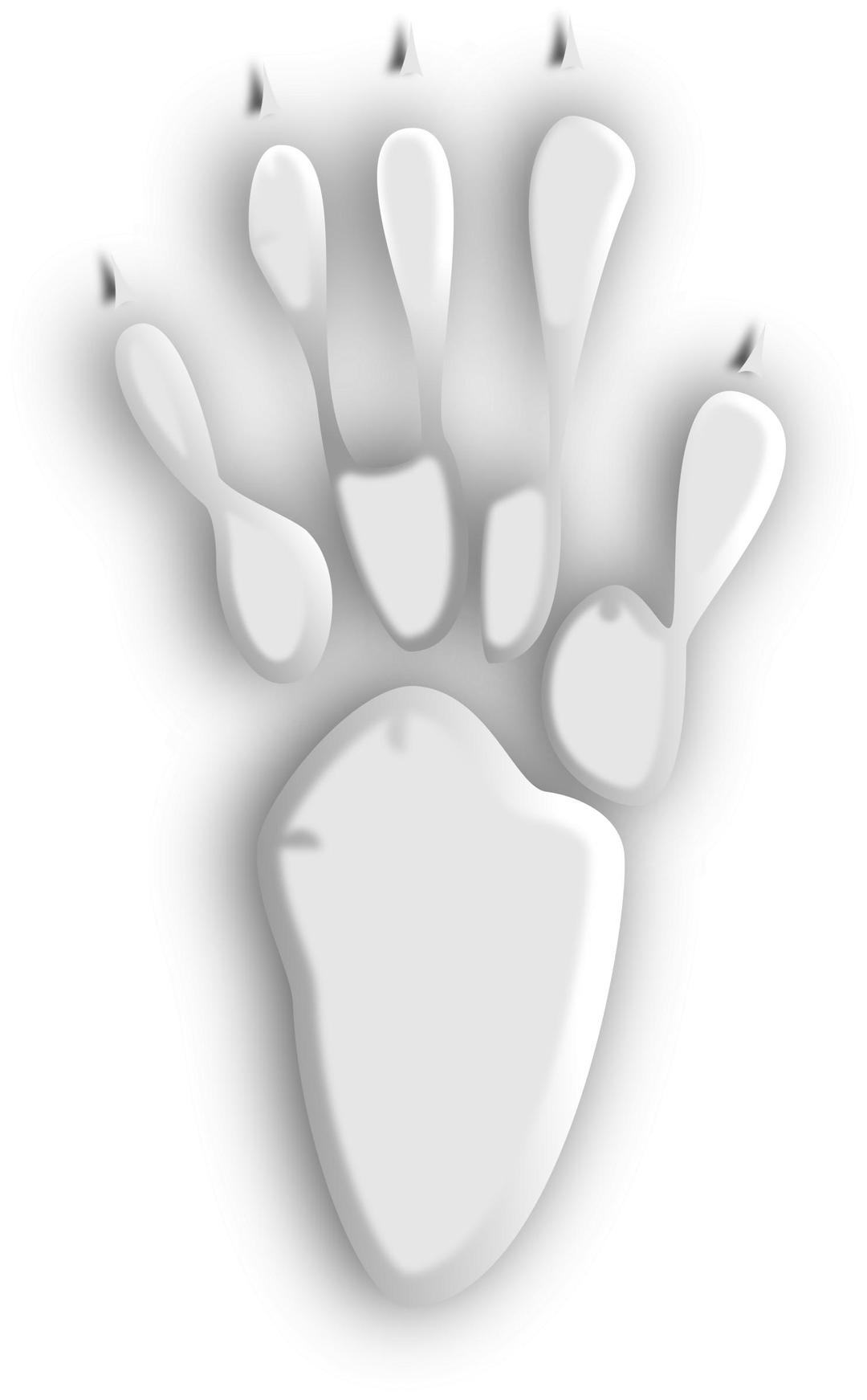 Footprint #5 png transparent