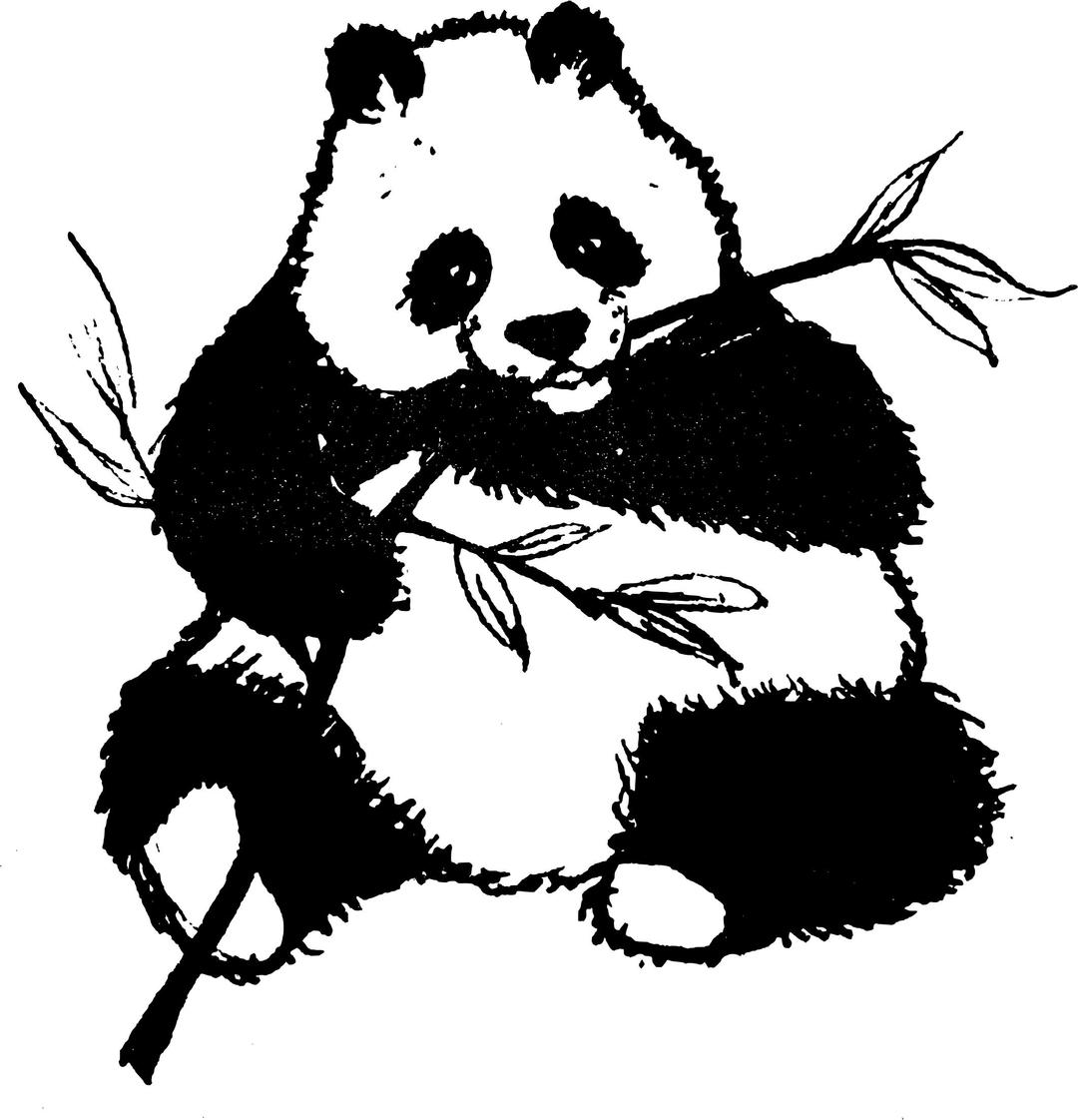 Found Panda Chewing on Leaves png transparent