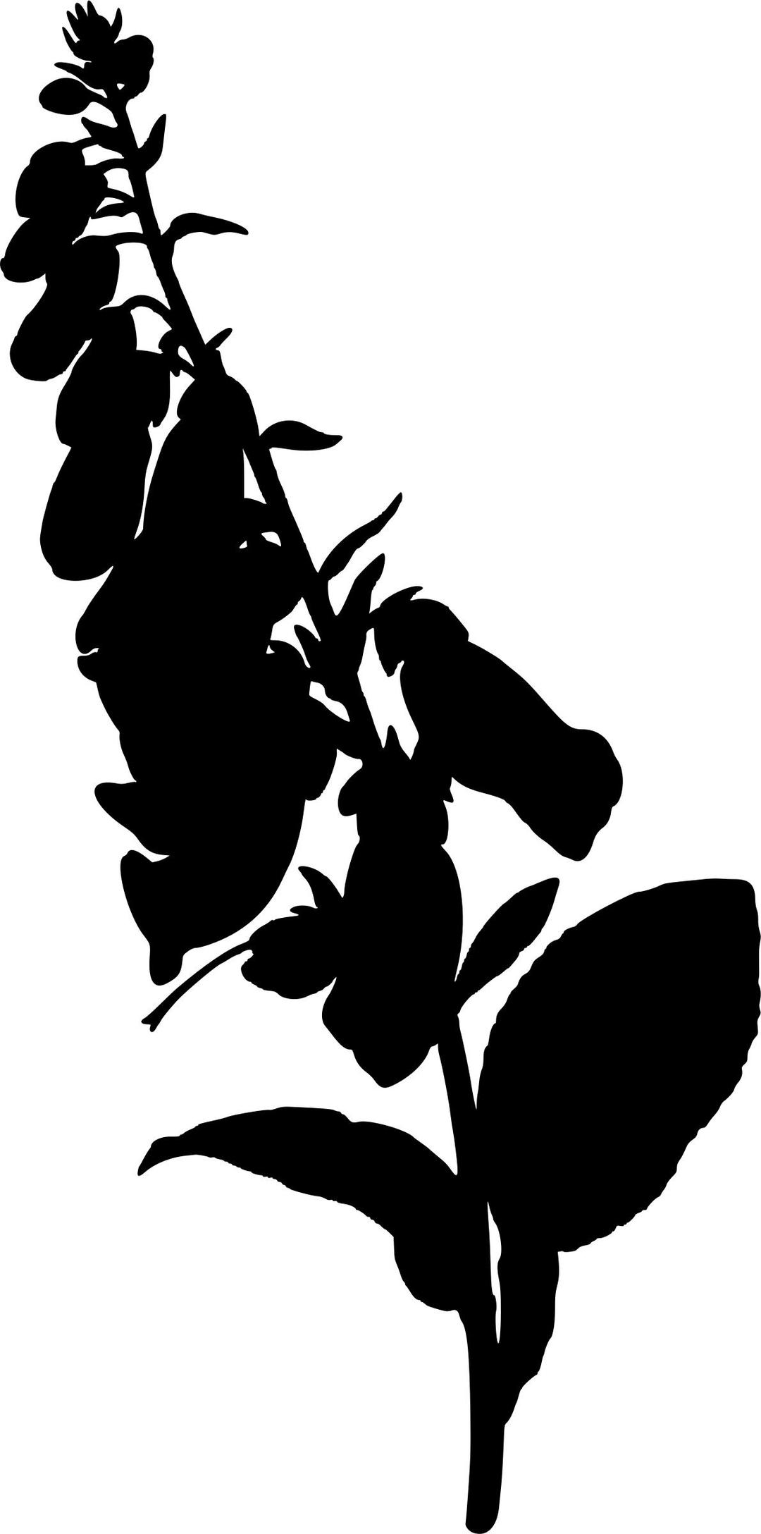 Foxglove (silhouette) png transparent