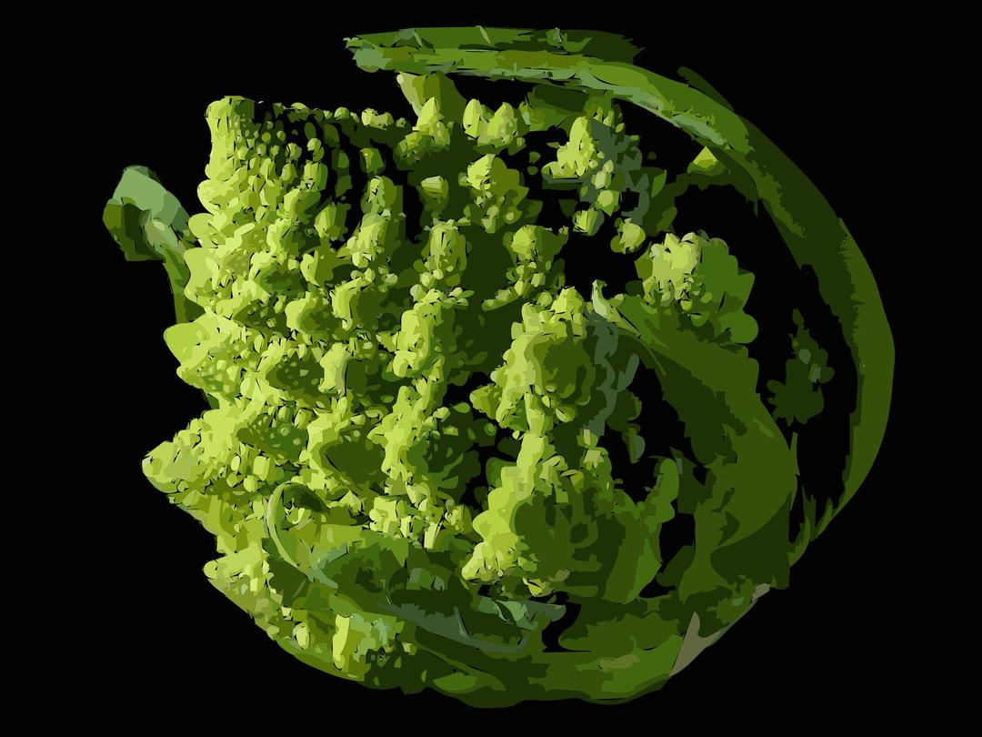 Fractal Broccoli png transparent