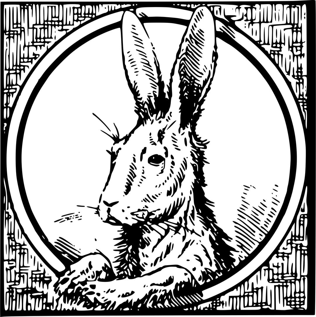 Framed hare png transparent