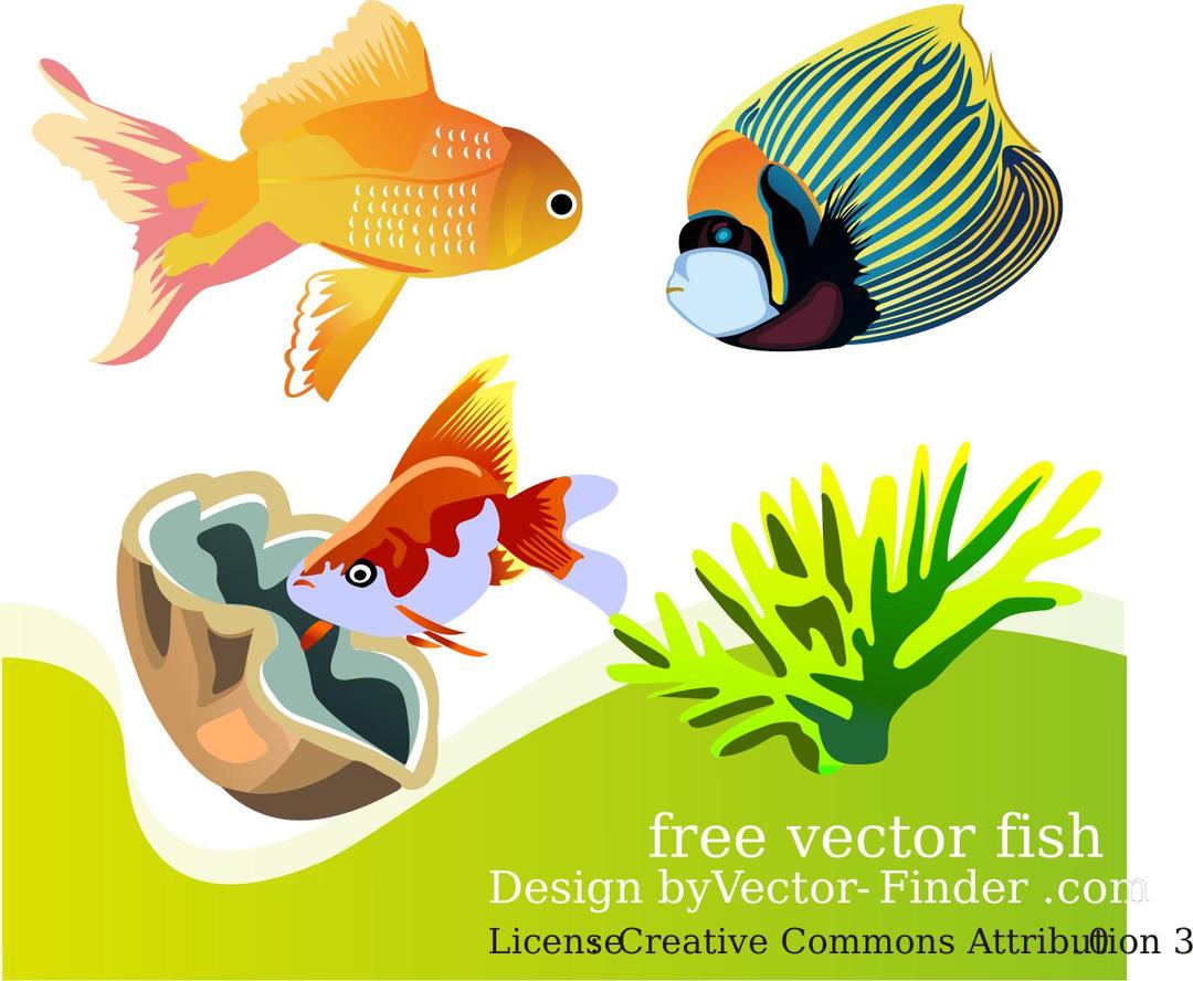 Free Vector Fish png transparent