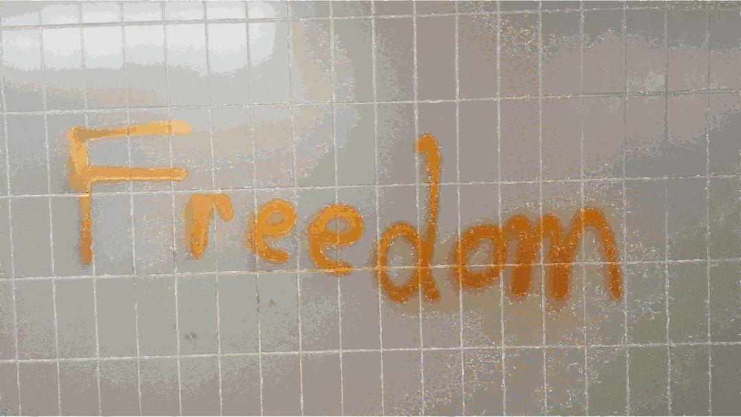 Freedom Graffiti Writing png transparent